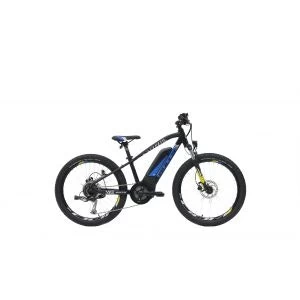 Bulls Twenty4 E 1 Bulls Twenty4 E