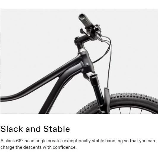 Cannondale 27.5/29 F Trail 5 2021 10 Cannondale 27.5/29 F Trail 5 2021 - Image 10