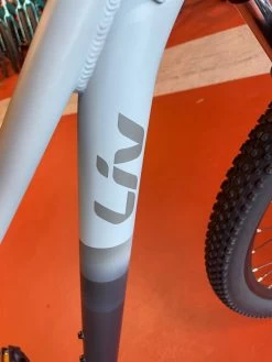 We Ship! Liv Tempt 29 4 - Grey 2021 -Bicycle Shop 7vZikzMwVr7ZSe6U5YBQqzpXU