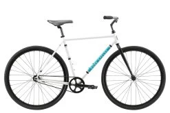 Pure Cycles Coaster Reeves 50" 2022