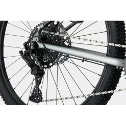 Cannondale 27.5/29 F Trail 5 2021 15 Cannondale 27.5/29 F Trail 5 2021 -Bicycle Shop F 6OBf9MXgPbqamKl5dUB47As