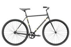 Pure Cycles Coaster Flatback 58" 2022