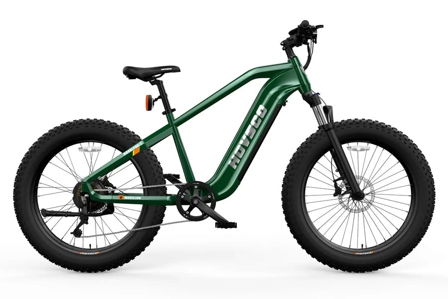 Other HOVSCO™ HovAlpha 26" Electric Fat Bike 2022 1 Other HOVSCO™ HovAlpha 26" Electric Fat Bike 2022