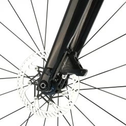 Trek Checkpoint SLR Custom Gravel Bike / Campagnolo EKAR 1 X 13-Speed / Aeolus RSL 37V Carbon Wheels / 56cm 2022 -Bicycle Shop QdMy2xpSDYqctu1mWd uD9TWg