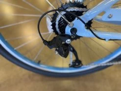 Tuesday March 7 Low-Step Perrywinkle 2021 -Bicycle Shop V5LrOnOr4pTQo soNoDdQVrOo