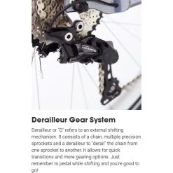 Electra Cruiser 7D Step-over Cruiser Bike -Bicycle Shop ked9dW Q3F768dqogKAINvRi4