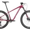 Salsa Timberjack XT 27.5+ 2022