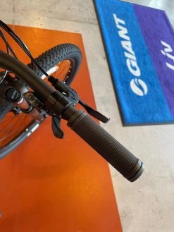 We Ship! Liv Tempt 29 4 - Grey 2021 -Bicycle Shop qyFLImhXkSNfG15E82oILBzC0