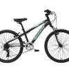 Bianchi Duel 24" 2022