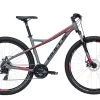 Bulls Sharptail 1 29 Disc - MTB Hardtail 29" 2021