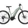 Giant Rove E+ 20MPH 2021