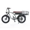 Other Oh Wow Cycles Voltaic 750w 2021