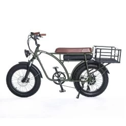Other Oh Wow Cycles Voltaic 750w 2021
